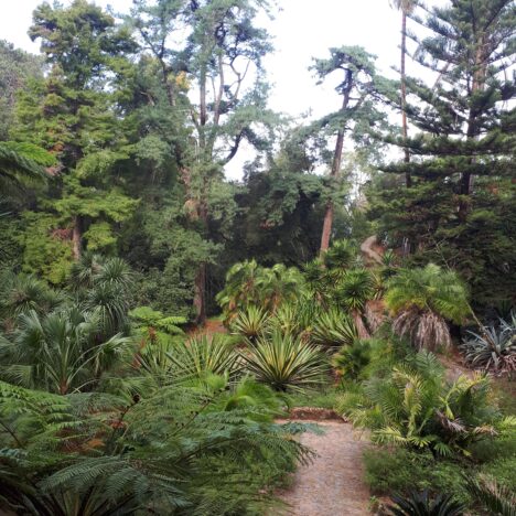 J-3 : Un nouveau départ