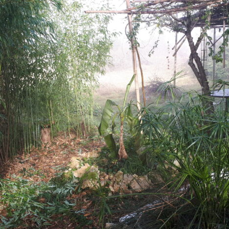 Bienvenue sur le chemin!