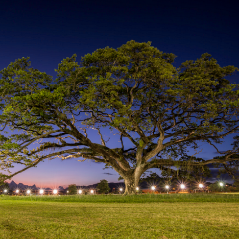 Les tuners de Laventille